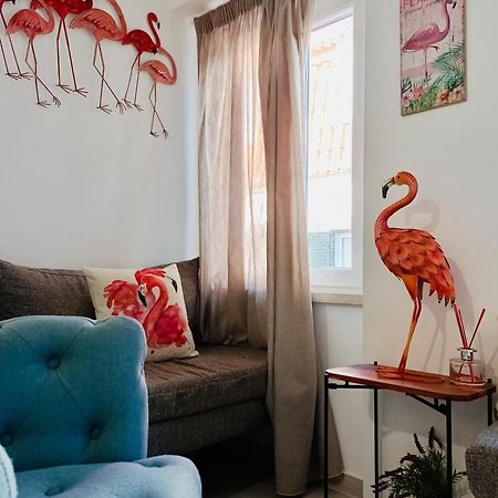 Апартаменти Flamingo Сезімбра Екстер'єр фото